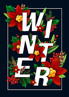 PSD 알파벳 영어 꽃 백그라운드 잎 겨울 일러스트 타이포그라피 사람없음 솔방울 겨울배경 국내일러스트 식물 문자 계절 파일형식