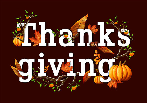 PSD 알파벳 영어 백그라운드 낙엽 잎 일러스트 호박 타이포그라피 사람없음 감나무 추수감사절 국내일러스트 나무 식물 문자 기독교 채소 감 파일형식