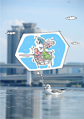 주간 구름 편집이미지 갈매기 합성일러스트 어류 사람없음 야외 강 그물 합성 이미지편집 AI파일 자연요소 조류 수중동물 파일형식 벡터