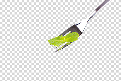 편집 편집이미지 웰빙 음료 음식 포크 잎 사람없음 깨끗함 신선 녹차 PNG 편집소스 식물 식기 컨셉 차_음료 파일형식