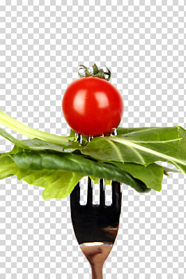 편집 편집이미지 음식 포크 채소 방울토마토 건강 사람없음 샐러드 PNG 편집소스 식기 토마토 파일형식