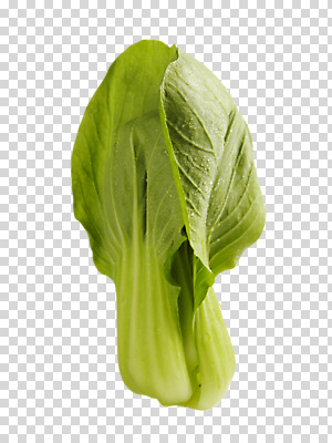 편집 편집이미지 음식 채소 식재료 사람없음 청경채 PNG 쌈채소 편집소스 파일형식