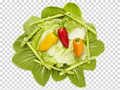 편집 편집이미지 음식 채소 사람없음 샐러드 양상추 아스파라거스 청경채 PNG 미니파프리카 편집소스 파일형식