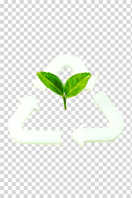 식물 편집 편집이미지 자연 사람없음 새싹 환경 봄 환경보전 PNG 편집소스 계절 사회이슈 생태계 파일형식