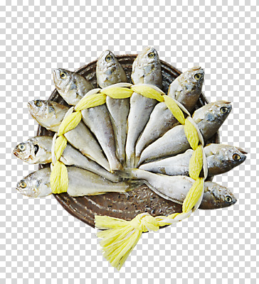 편집 편집이미지 어류 사람없음 선물세트 PNG 굴비 편집소스 조기_생선 선물 수중동물 파일형식