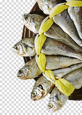 편집 편집이미지 어류 사람없음 선물세트 PNG 굴비 편집소스 조기_생선 선물 수중동물 파일형식