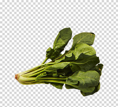 편집 편집이미지 음식 채소 식재료 사람없음 시금치 PNG 편집소스 파일형식