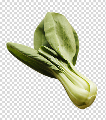 편집 편집이미지 음식 채소 식재료 사람없음 청경채 PNG 편집소스 파일형식
