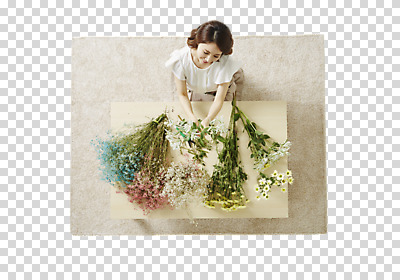 편집 편집이미지 여자 꽃 여유 탁자 한명 동양인 성인 30대 하이앵글 한국인 꽃꽂이 즐거움 PNG 성인여자한명만 편집소스 식물 1 감정 뷰포인트 가구 사람 인종 장년 원예 여자한명만 성인여자만 파일형식