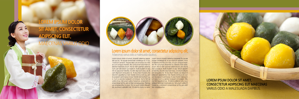 PSD 템플릿 편집 표지디자인 북디자인 출판디자인 여자 내지 음식 리플렛 북커버 3단접지 안기 떡 한명 팜플렛 상반신 성인 선물상자 한국인 한복 송편 이미지템플릿 1 한국전통 모션 선물 사람 동양인 상자 전통의상 파일형식