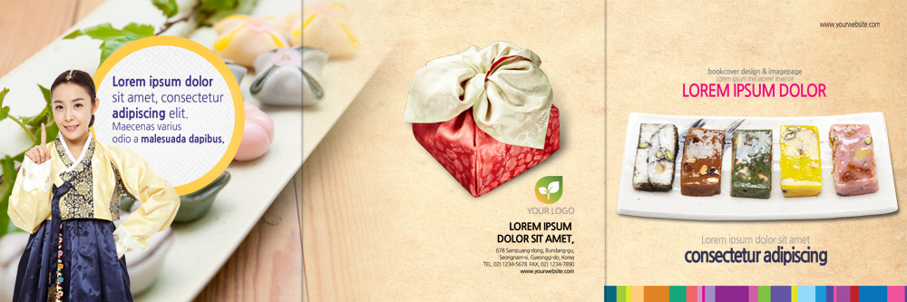 PSD 템플릿 편집 표지디자인 북디자인 출판디자인 여자 표지 리플렛 허리손 북커버 3단접지 떡 한명 팜플렛 상반신 20대 성인 앞모습 한국인 한복 선물세트 이미지템플릿 1 한국전통 뷰포인트 포즈 선물 사람 동양인 청년 전통의상 파일형식