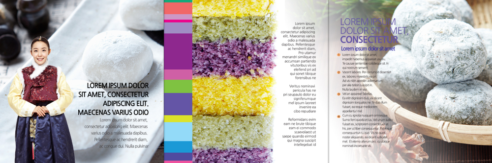 PSD 템플릿 편집 표지디자인 북디자인 출판디자인 여자 내지 리플렛 북커버 3단접지 떡 한명 팜플렛 상반신 20대 성인 앞모습 한국인 한복 손모으기 찹쌀떡 이미지템플릿 1 한국전통 뷰포인트 사람 동양인 손짓 청년 전통의상 파일형식