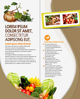 PSD 템플릿 편집 표지디자인 북디자인 손 출판디자인 내지 리플렛 토마토 2단접지 북커버 오이 감자 바나나 한명 팜플렛 신체부위 당근 브로콜리 배추 늙은호박 이미지템플릿 1 채소 과일 호박 뿌리채소 사람 파일형식