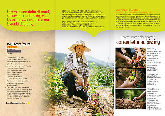 PSD 템플릿 편집 표지디자인 북디자인 손 출판디자인 남자 내지 리플렛 밭 북커버 3단접지 팜플렛 여러명 성인 신체부위 30대 농사 한국인 농부 밭갈기 호미 이미지템플릿 직업 다수 농업 사람 동양인 장년 농기구 파일형식