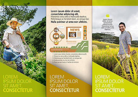 PSD 템플릿 편집 표지디자인 북디자인 출판디자인 남자 내지 리플렛 북커버 3단접지 논 팜플렛 성인 두명 30대 농사 물뿌리개 한국인 뉴스 농부 물주기 벼베기 이미지템플릿 직업 농업 모션 사람 동양인 장년 파일형식