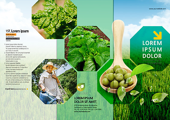 PSD 템플릿 편집 표지디자인 북디자인 출판디자인 표지 남자 리플렛 북커버 3단접지 한명 팜플렛 상반신 성인 30대 물뿌리개 한국인 풀 농부 배추 물주기 완두콩 나무숟가락 배추잎 이미지템플릿 식물 직업 1 채소 모션 콩 사람 동양인 장년 숟가락 파일형식