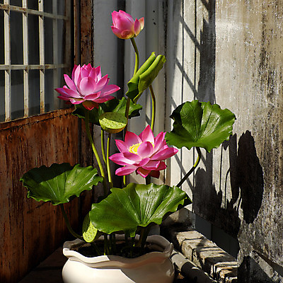 포토 JPG 해외이미지 모양 꽃잎 꽃 화분 분홍색 백그라운드 잎 창문 추상 미술 사람없음 장식 문 정원 놀람 활발 벚꽃 항아리 상품 그늘 즐거움 만족 베트남 점토 DIY 인공 핸드메이드 해외202004 해외포토 식물 감정 컬러 컨셉 무늬 문화예술 표정 취미 동남아시아 도자기 파일형식 이미지허브