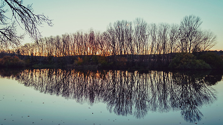 포토 JPG 해외이미지 나무 구름 계절 실루엣 호수 바다 백그라운드 오렌지 자연 벽지 하늘 날씨 풍경 사람없음 야외 물 여름 파란색 빛 강 컬러풀 햇빛 태양 반사 노란색 일출 맑음 어둠 침묵 황혼 일몰 새벽 안개 가을 황금 숲 장면 내추럴 수평선 해외202004 해외포토 자연요소 식물 컬러 과일 촬영기법 노을 소리 생태계 파일형식 이미지허브