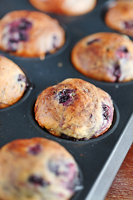 포토 JPG 해외이미지 열매 음식 디저트 주택 도마 따뜻함 사람없음 케이크 주방 최고 뜨거움 오븐 달콤 맛 가루 설탕 굽기 먹기 준비 블루베리 머핀 핸드메이드 해외202004 해외포토 식물 빵 컨셉 과일 모션 주방용품 건물 가전제품 구이 파일형식 이미지허브