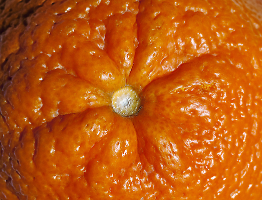 포토 JPG 해외이미지 음식 줄기 백그라운드 다이어트 오렌지 과일 자연 귤 건강 사람없음 노란색 주스 껍질 신선 달콤 맛 아침식사 먹기 피부 묘사 상쾌 유기농 질감 내추럴 숙성 영양분 채식주의자 해외202004 해외포토 식물 웰빙 감정 음료 컬러 컨셉 모션 신체부위 식사 생태계 채식 파일형식 이미지허브