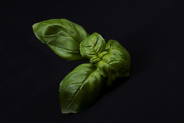 포토 JPG 해외이미지 음료 음식 백그라운드 잎 재료 자연 요리 사람없음 초록색 검은색 신선 양념 자르기 허브 향신료 오브젝트 싱글 유기농 향기 슛 향 바질 내추럴 고립 미니멀 부족함 해외202004 해외포토 식물 웰빙 컬러 컨셉 모션 생태계 냄새 향미료 파일형식 이미지허브