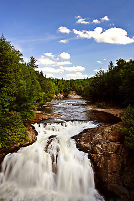 포토 JPG 해외이미지 나무 구름 자연 하늘 풍경 사람없음 야외 세로 물 파란색 달리기 가을 전나무 해외202004 해외포토 자연요소 식물 계절 컬러 모션 생태계 파일형식 이미지허브