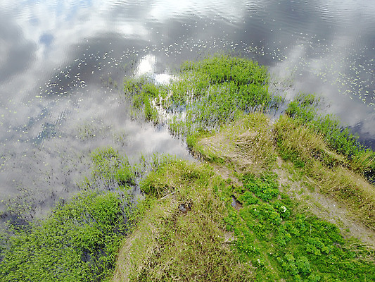포토 JPG 해외이미지 유럽 호수 백그라운드 밭 자연 추상 안테나 풍경 사람없음 야외 초록색 물 여름 반사 시골 드론 조감도 해외202004 해외포토 자연요소 계절 나라 컬러 무늬 농업 통신 생태계 파일형식 이미지허브