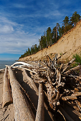포토 JPG 해외이미지 모래 바다 자연 하늘 풍경 사람없음 물 그림 러시아 통나무 암초 수목 해외202004 해외포토 자연요소 나무 유럽 생태계 파일형식 이미지허브