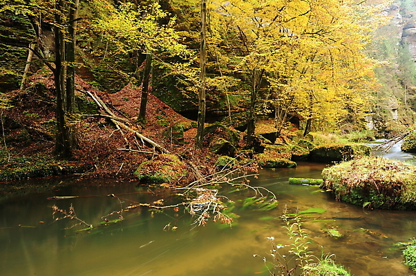 포토 JPG 해외이미지 나무 계절 공원 호수 백그라운드 잎 오렌지 자연 이끼 풍경 사람없음 야외 목재 빨간색 초록색 물 강 컬러풀 노란색 환경 흐름 가을 바위 시골 개울 황금 숲 작음 11월 장면 10월 내추럴 해외202004 해외포토 자연요소 식물 공공시설 컬러 컨셉 과일 재료 돌_바위 날짜 크기 생태계 파일형식 이미지허브