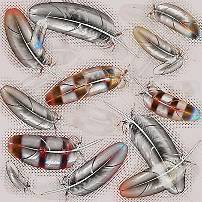 포토 JPG 해외이미지 디자인 백그라운드 일러스트 자연 벽지 조류 추상 프레임 선물 미술 사람없음 그래픽 장식 유행 수확 인사 신용카드 보석 순수 깃털 질감 부드러움 내추럴 단아함 파스텔톤 프리미엄 스타일 해외202004 해외포토 동물 컬러 컨셉 무늬 농업 문화예술 금융 예절 감각 광석 생태계 파일형식 이미지허브