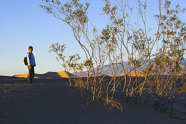 포토 JPG 해외이미지 공원 물결 모래 여행 오렌지 자국 자연 산 건조 사람 풍경 사람없음 야외 여름 노란색 환경 계곡 미국 침묵 일몰 사막 탐험 바위 뜨거움 황무지 크리스탈 모래언덕 언덕 캘리포니아 가뭄 온도 전국 지리 지질학 해외202004 해외포토 계절 공공시설 교육 컬러 북아메리카 과일 날씨 노을 소리 돌_바위 광석 생태계 파일형식 이미지허브