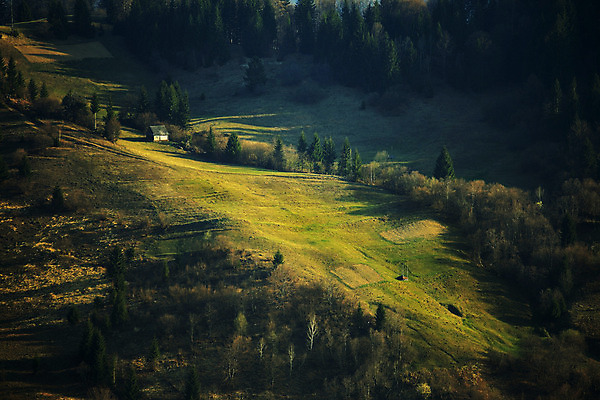 포토 JPG 해외이미지 나무 식물 계절 유럽 파도 백그라운드 패턴 밭 자연 휴식 산 주택 그림자 풍경 사람없음 목재 초록색 빛 계곡 일몰 놀람 봄 시골 숲 오두막 4월 언덕 전나무 자작나무 남쪽 우크라이나 가문비나무 해외202004 해외포토 감정 나라 바다 컬러 컨셉 무늬 농업 재료 표정 건물 노을 날짜 방향 생태계 파일형식 이미지허브