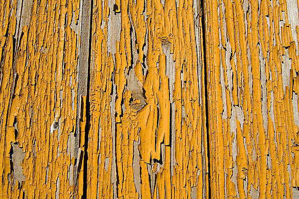 포토 JPG 해외이미지 벽 백그라운드 패턴 표면 날씨 추상 사람없음 야외 목재 페인트 껍질 시골 소나무 판넬 얼룩 거친 널 묘사 질감 수목 옛날 줄서기 해외202004 해외포토 나무 무늬 재료 모션 파일형식 이미지허브