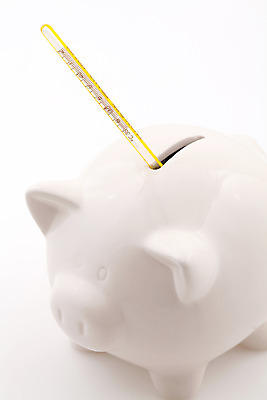 포토 JPG 해외이미지 동물 아이콘 모델 디자인 분홍색 백그라운드 컨셉 돈 일러스트 비즈니스 사람없음 금융 경제 상자 달러 돼지 온도계 오브젝트 그림 투자 온도 대출 빚 고립 해외202004 해외포토 컬러 포유류 재산 파일형식 이미지허브