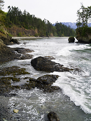 포토 JPG 해외이미지 나무 식물 공원 모래 파도 바다 섬 자연 조류 풍경 사람없음 야외 물 여름 환경 봄 캠핑 숲 캠핑장 태평양 워싱턴 해외202004 해외포토 자연요소 동물 계절 공공시설 레저 미국 생태계 파일형식 이미지허브