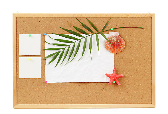 포토 JPG 해외이미지 디자인 별 종이 바다 백그라운드 비즈니스 벽지 표면 휴가 조개 프레임 광고판 손바닥 사람없음 여름 사무실 갈색 쪽지 공백 정보 껍질 흰색 발표 메시지 인쇄 질감 페이지 코르크 공지사항 그런지 떠남 서류판 순간 스크랩북 조언 코르크보드 해외202004 해외포토 자연요소 손 계절 컬러 모션 어패류 알림판 사무용품 판 파일형식 이미지허브