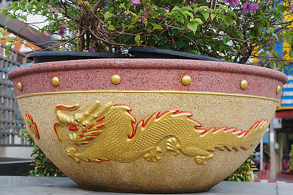 포토 JPG 해외이미지 나무 식물 꽃 화분 화초 백그라운드 잎 자연 주택 사람없음 야외 장식 초록색 빛 꽃병 성장 큼 묘사 원예 리빙 거인 내추럴 심기 안뜰 해외202004 해외포토 컬러 모션 취미 건물 크기 생태계 파일형식 이미지허브