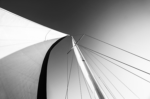 포토 JPG 해외이미지 라이프스타일 밧줄 스포츠 바다 여행 백그라운드 요트 자연 하늘 바람 추상 휴가 항해 사람없음 물 여름 파란색 햇빛 태양 맑음 자유 흰색 직물 보트 고급 크루즈 묘사 속도 질감 함선 범선 섬유 카피스페이스 해외202004 해외포토 자연요소 계절 줄 컬러 컨셉 무늬 배_교통 날씨 생활 공백 생태계 파일형식 이미지허브