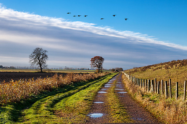 포토 JPG 해외이미지 나무 구름 지구 농업 하늘 풍경 사람없음 목재 가로 초록색 파란색 울타리 햇빛 농장 맑음 검은색 회색 젖음 가을 흰색 땅 거위 구성 밭일 선로 해외202004 해외포토 자연요소 식물 계절 산업 컬러 재료 조류 날씨 담장 태양 파일형식 이미지허브