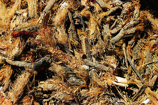 포토 JPG 해외이미지 전통 음식 여행 아프리카 자연 하늘 휴가 유물 이집트 사람없음 야외 상점 도시 양념 역사 시장 구매 상품 상인 향신료 캔버스 타운 동쪽 매각 아랍어 해외202004 해외포토 나라 쇼핑 방향 생태계 향미료 파일형식 이미지허브