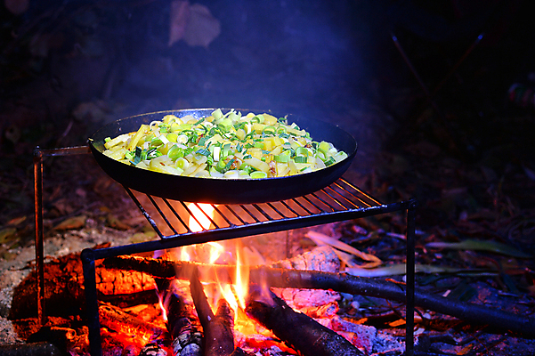 포토 JPG 해외이미지 음식 여행 자연 불 낚시 감자 요리 사람없음 여름 소풍 노란색 식사 어둠 가을 판넬 뜨거움 프라이팬 그릴 야간 장작 굽기 수목 해외202004 해외포토 자연요소 계절 컬러 채소 주방용품 레저 야외활동 구이 생태계 파일형식 이미지허브
