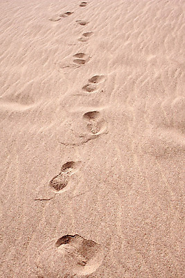 포토 JPG 해외이미지 선 모래 여행 백그라운드 자연 이집트 사람 사람없음 야외 하이킹 사막 발자국 모험가 파일 사하라 선로 자취 줄서기 시리즈 해외202004 해외포토 자국 모션 아프리카 레저 생태계 파일형식 이미지허브