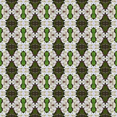 포토 JPG 해외이미지 백그라운드 패턴 자연 벽지 추상 사람없음 초록색 컬러풀 흰색 블러 해외202004 해외포토 컬러 무늬 생태계 파일형식 이미지허브