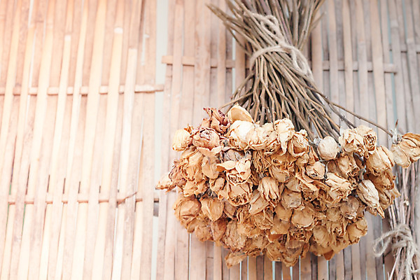 포토 JPG 해외이미지 식물 라이프스타일 꽃 리본 밧줄 벽 꽃다발 백그라운드 꽃무늬 자연 탁자 주택 건조 매달리기 사람없음 목재 장식 우주 침묵 수확 벚꽃 가을 시골 차 파편 배열 허브 향수 아로마 향 성분 아로마테라피 내추럴 구성 그런지 옛날 해외202004 해외포토 나무 계절 음료 줄 가구 무늬 농업 재료 모션 건물 생활 소리 화장품 생태계 테라피 파일형식 이미지허브