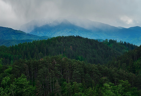 포토 JPG 해외이미지 나무 구름 유럽 여행 백그라운드 자연 하늘 산 풍경 사람없음 야외 초록색 여름 파란색 환경 계곡 침묵 놀람 활발 하이킹 흰색 황무지 숲 고도 언덕 장면 폭풍 동쪽 루마니아 내추럴 강렬 절정 눈내림 해외202004 해외포토 자연요소 식물 계절 감정 나라 컬러 컨셉 레저 날씨 눈_날씨 표정 소리 방향 생태계 파일형식 이미지허브