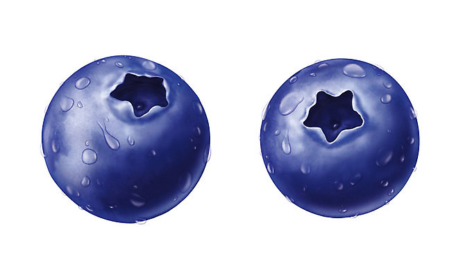 포토 JPG 해외이미지 식물 잎 오렌지 일러스트 자연 딸기 포도 건강 경사 사람없음 빨간색 초록색 파란색 빛 노란색 보라색 주스 신선 칼날 닫기 결과 레몬 블루베리 건강식 내추럴 고립 광 사실 진실 해외202004 해외포토 음료 음식 컬러 컨셉 과일 모션 생태계 파일형식 이미지허브