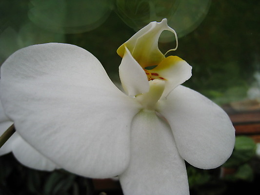 포토 JPG 해외이미지 나무 꽃 잎 사람없음 초록색 여름 봄 게 바위 흰색 하트 아스팔트 나무껍질 해외202004 해외포토 모양 식물 계절 도로 컬러 갑각류 껍질 돌_바위 파일형식 이미지허브