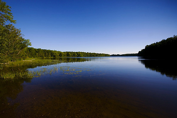 포토 JPG 해외이미지 호수 자연 풍경 사람없음 목재 초록색 물 파란색 반사 평화 침묵 황무지 숲 명상 북쪽 내추럴 해외202004 해외포토 자연요소 나무 컬러 컨셉 재료 소리 방향 생태계 파일형식 이미지허브