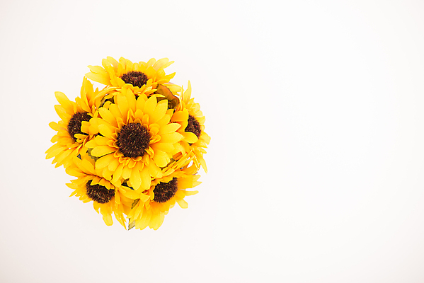 포토 JPG 해외이미지 식물 꽃잎 꽃 꽃다발 백그라운드 잎 꽃무늬 자연 탁자 선물 사람없음 장식 컬러풀 파티 식당 페인트 재활용 골동품 벚꽃 인사 도자기 닫기 냄비 플라스틱 배열 꽃집 묘사 질감 복고 고립 옛날 인공 해외202004 해외포토 컬러 가구 무늬 모션 재질 이벤트 상점 예절 솥 친환경 생태계 파일형식 이미지허브