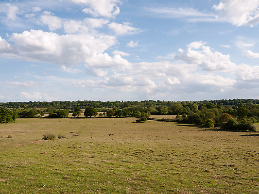 포토 JPG 해외이미지 식물 구름 계절 백그라운드 밭 농업 자연 하늘 풍경 잔디 사람없음 목재 초록색 여름 파란색 햇빛 태양 농장 농경지 노란색 환경 맑음 봄 자유 시골 신선 숲 5월 땅 유기농 장면 지역 천국 내추럴 밭일 파라다이스 수평선 해외202004 해외포토 자연요소 나무 웰빙 산업 컬러 컨셉 재료 날씨 날짜 생태계 파일형식 이미지허브